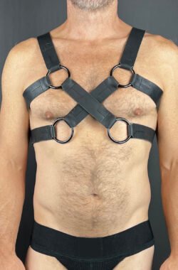 Double Harness